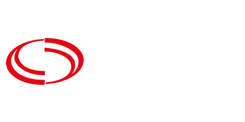 Özsırt